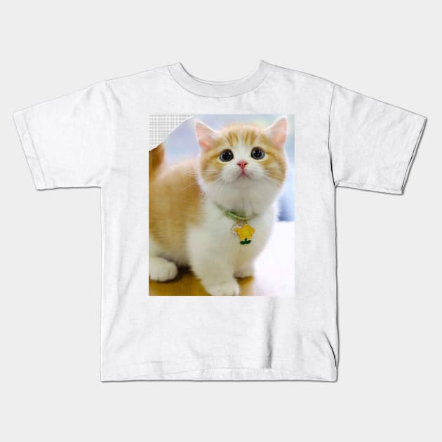 chubby chubby cats Kids T-Shirt by kunasin